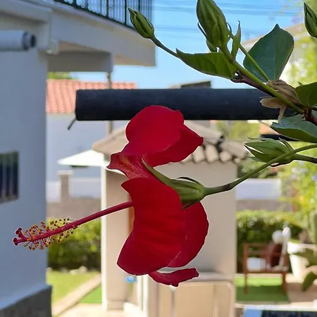 Holiday home Casa Con Vistas Al Mar Wi-fi Bbq Aircond Calafell